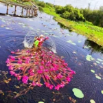 ảnh bìa làng nổi tân lập