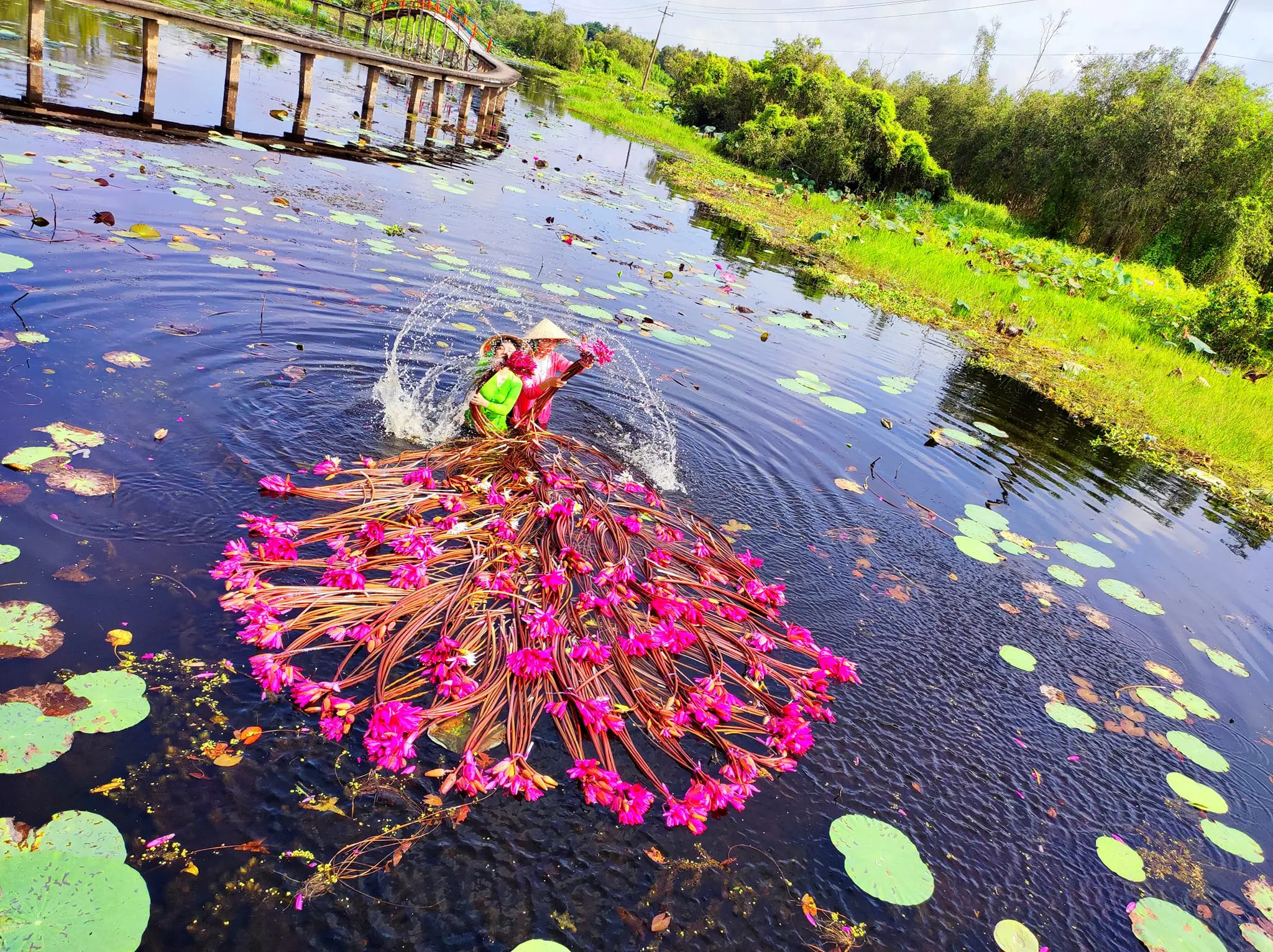 ToÀn cẢnh lÀng nỔi tÂn lẬp